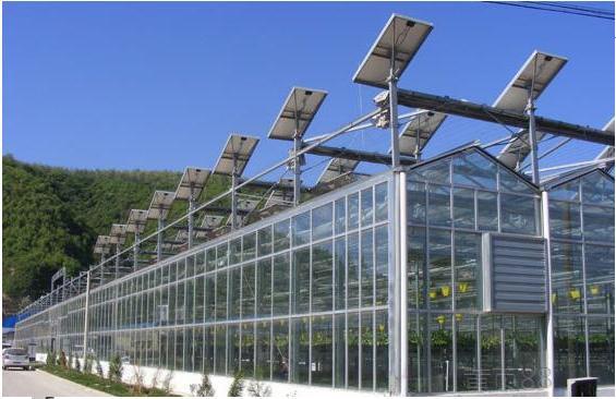 无土栽培选用智能玻璃温室造价几何?