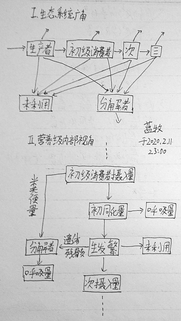 对高中生物《稳态与环境》第五章"生态系统及其稳定性