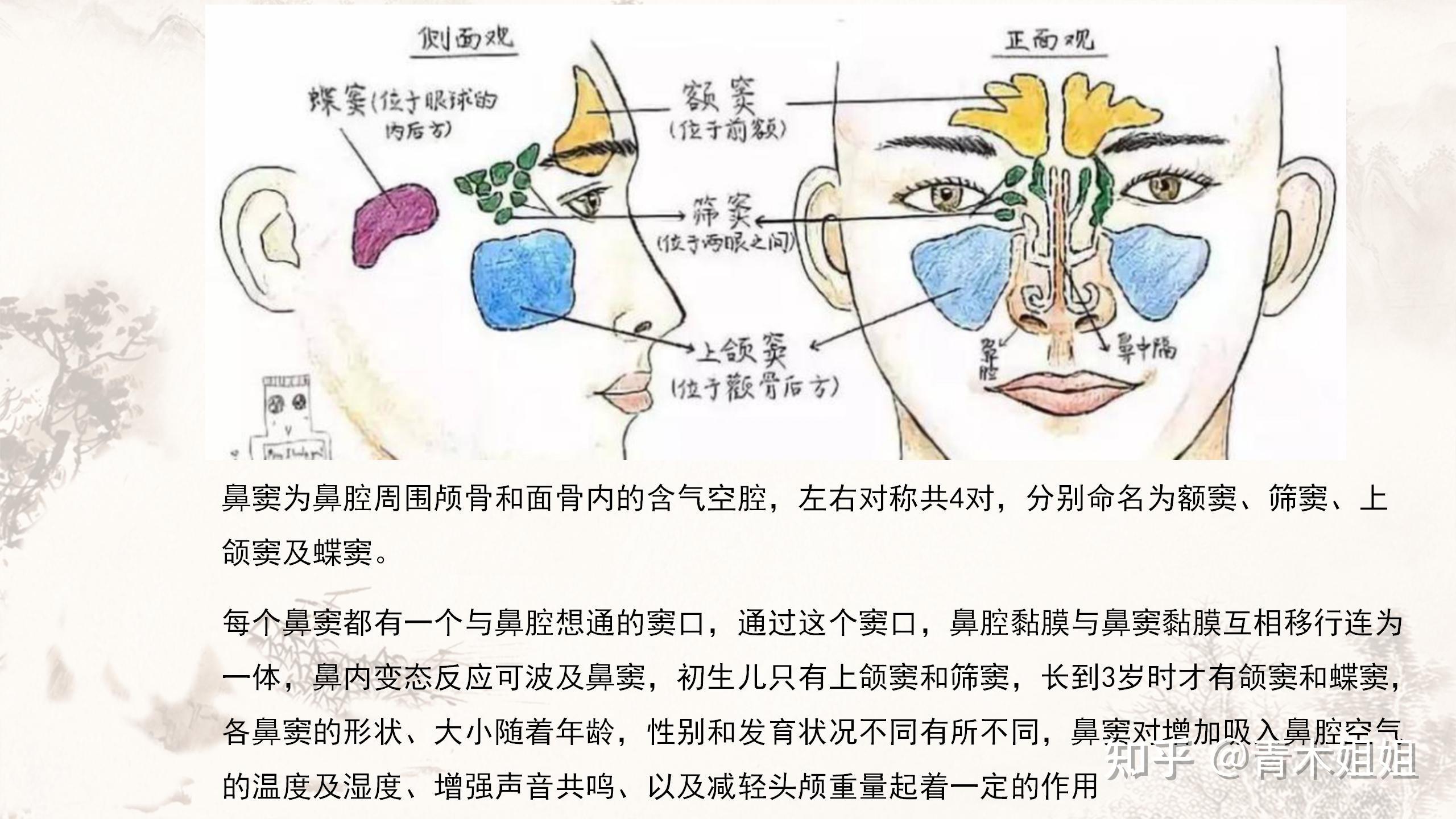 蝶窦炎症是鼻窦炎吗