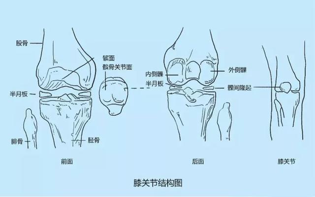 膝关节疼痛是怎么回事膝关节疼痛的原因介绍