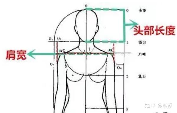 女性的理想头肩比是2: ,而对于亚洲男性来说,理想头肩比则是1:2.