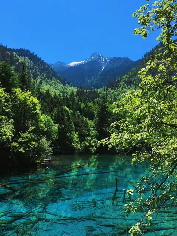 什么季节去九寨沟旅游最合适?