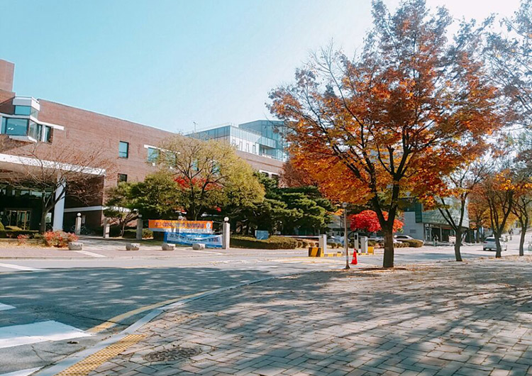 韩国语学堂大起底之"首尔大学(首尔)-语学院"