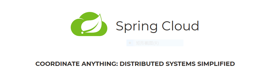 spring cloud 图标,springcloud图标 中小型公司对于spring cloud的选择与思考