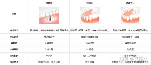 牙齿的寿命是多长