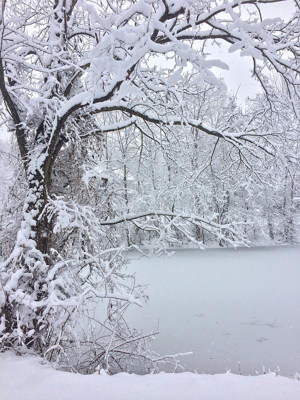 下雪天怎么拍好看