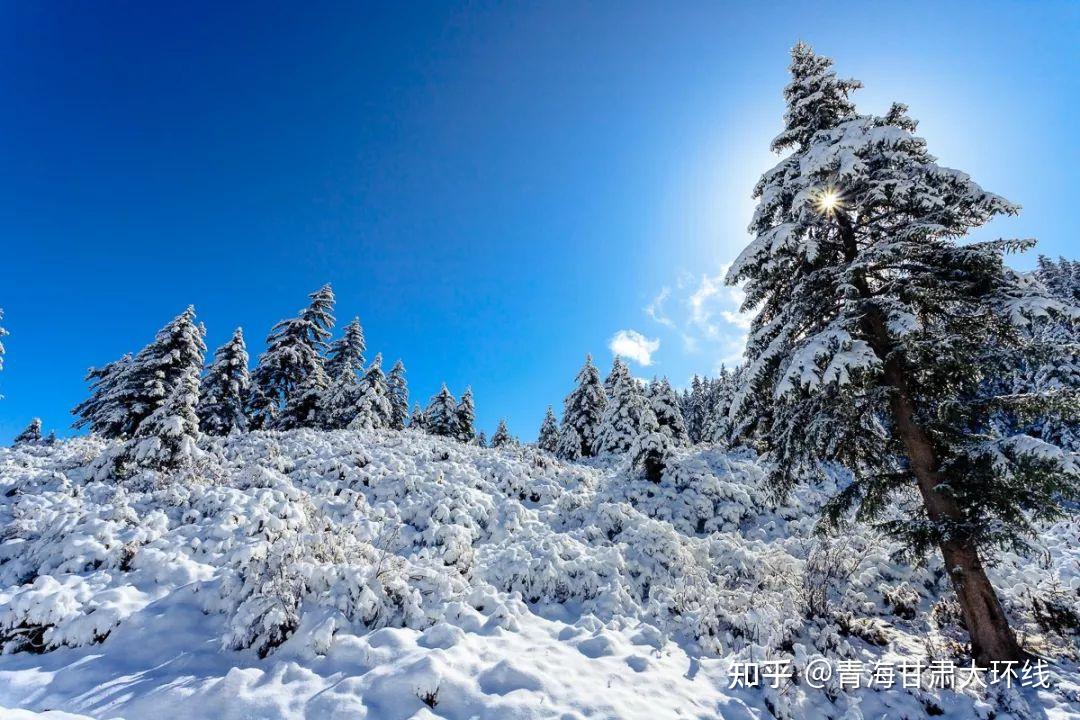 你看过的最美的雪景是在哪个城市