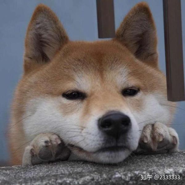 我在空间发了一个撒狗粮的说说之后.