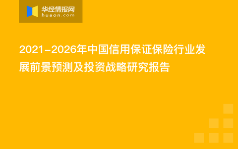 2021-2026年中国信用保证保险行业发展前景预测及投资