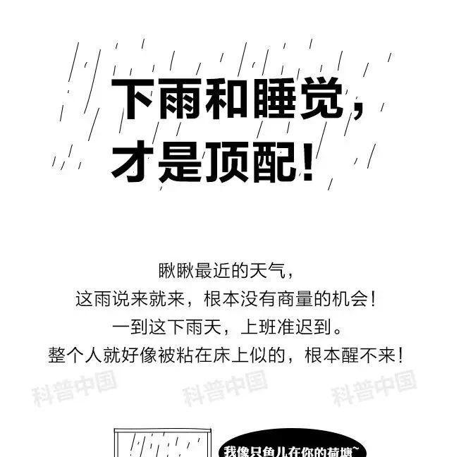 为什么下雨天特别想睡觉?万万没想到,竟是因为