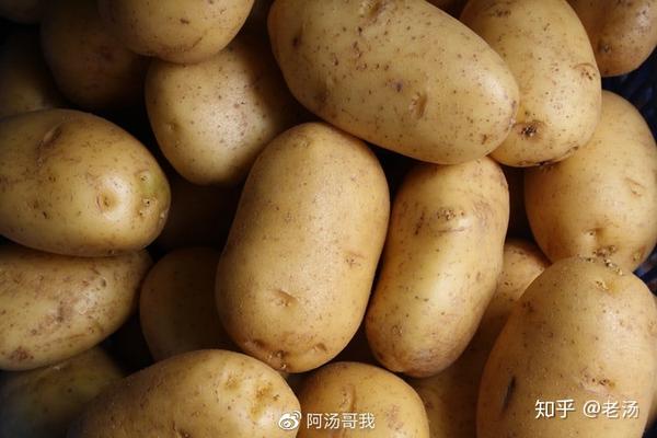 土豆的营养价值 土豆中可利用的碳水化合物主要
