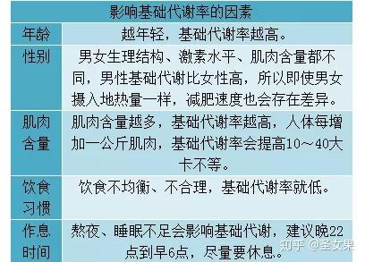 影响减脂效果决定反弹与否基础代谢率了解一下