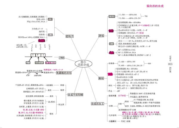 生物化学思维导图-吴在望生化思维导图pdf