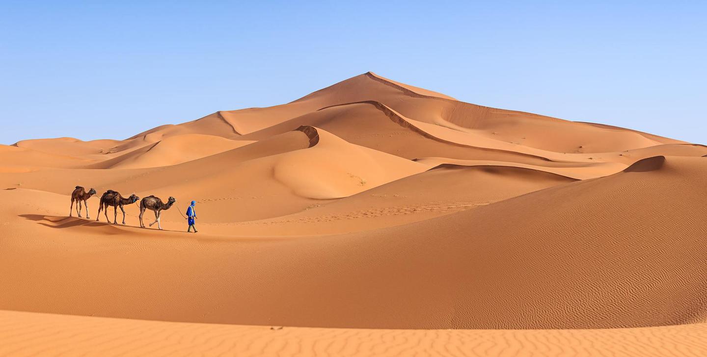 世界之最——最大的沙漠——撒哈拉沙漠