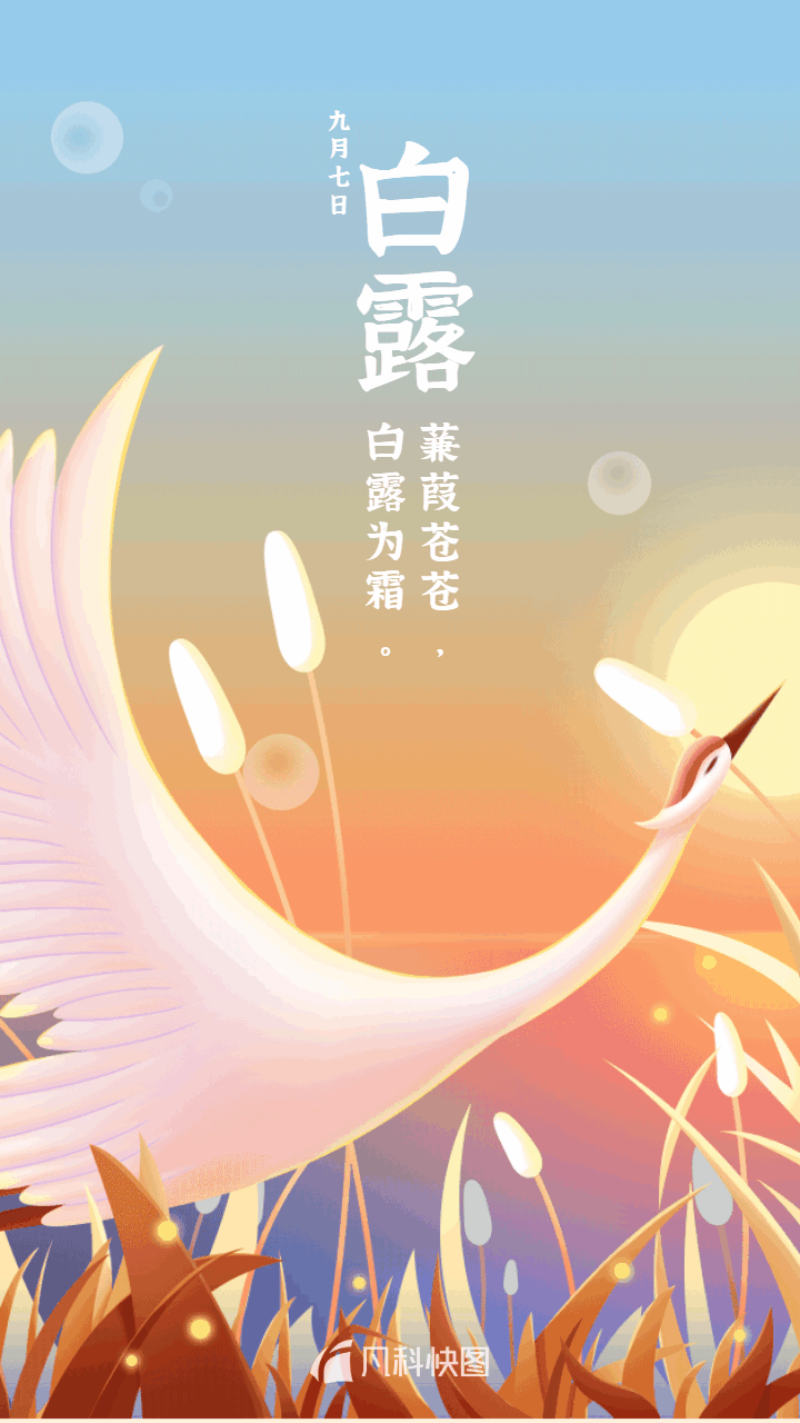 二十四节气诗意满满的白露节气文案海报