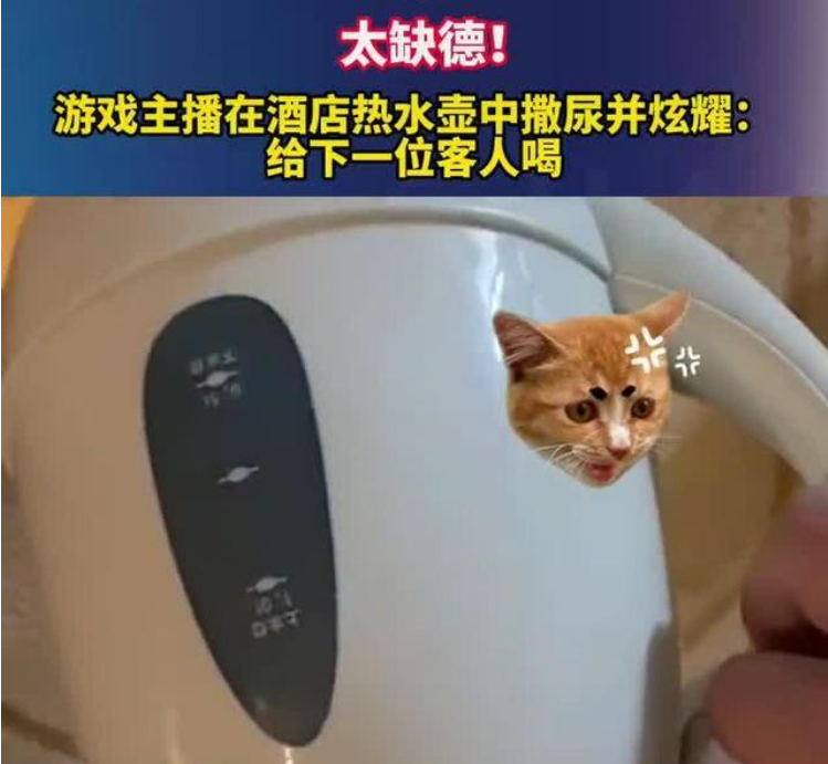 网红直播"酒店水壶撒尿"引众怒:你缺德的样子,真恶心