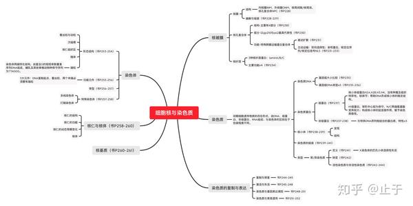 细胞生物学思维导图其二