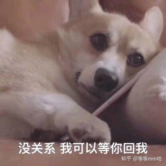 有没有跟对象聊天的表情包?