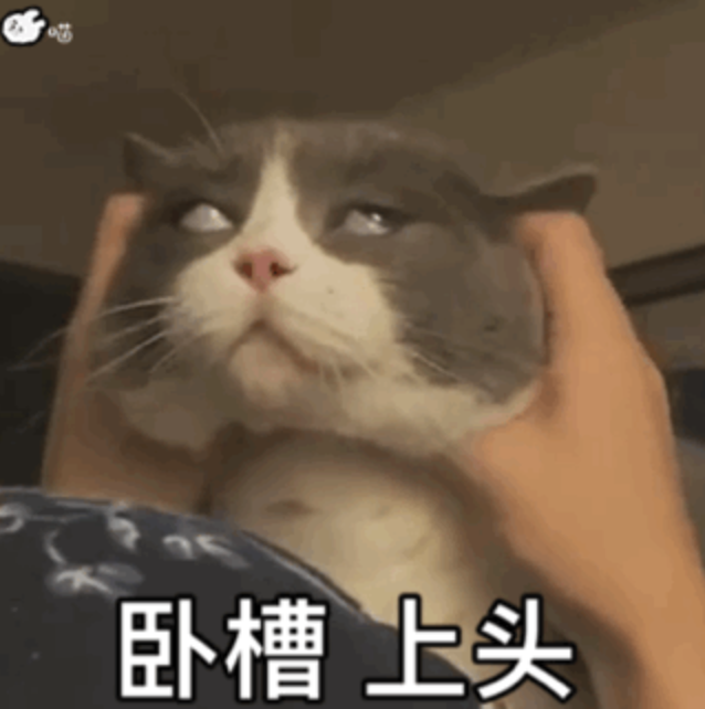 50 个沙雕表情包:卧槽,上头了!