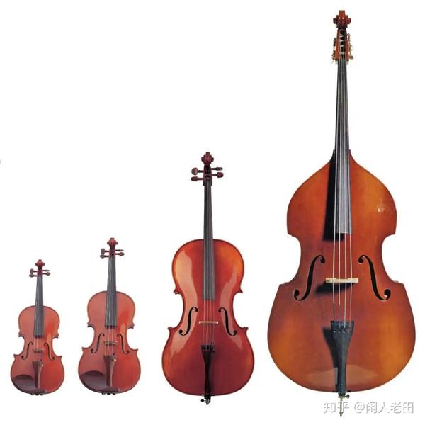 番外篇:弦乐四重奏中的四种乐器