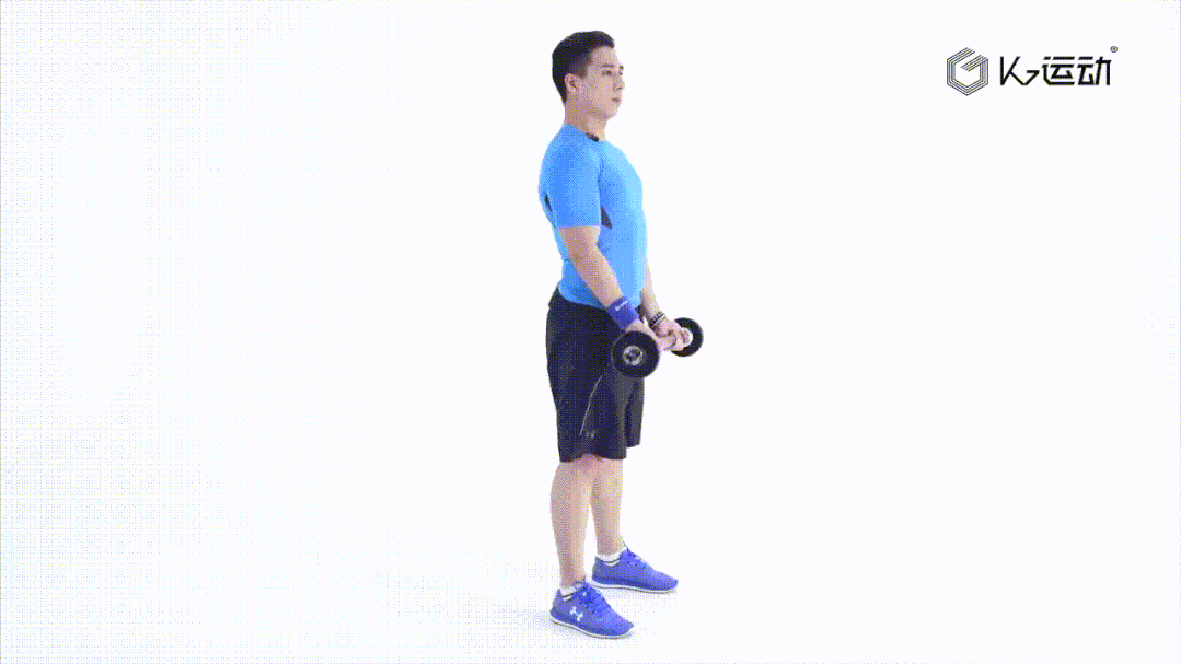 身体稍向前倾,双臂贴紧体侧双肘固定,双手与肩同宽反握杠铃,头部正直