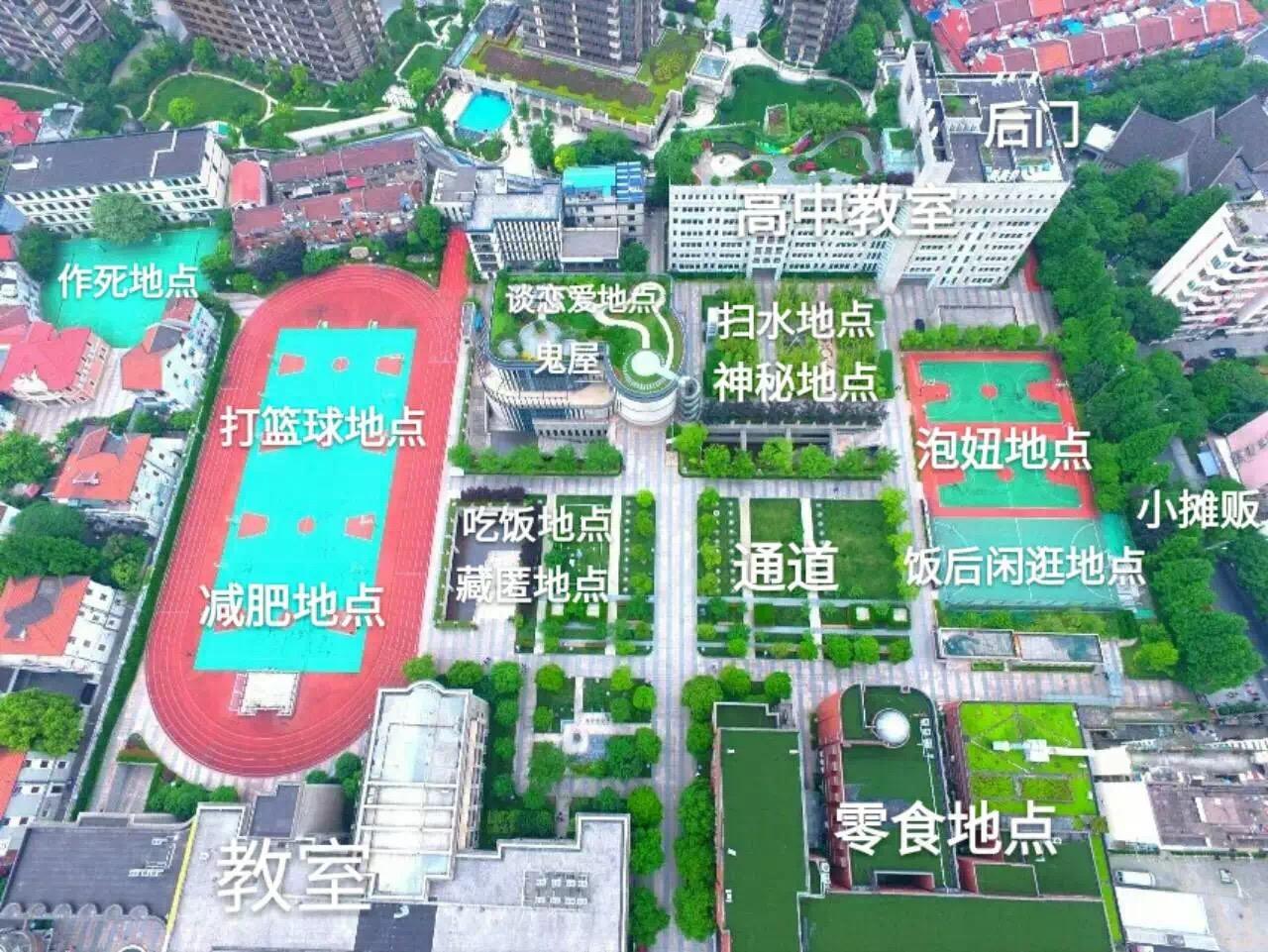 在上海市市西初级中学学习是怎样的体验