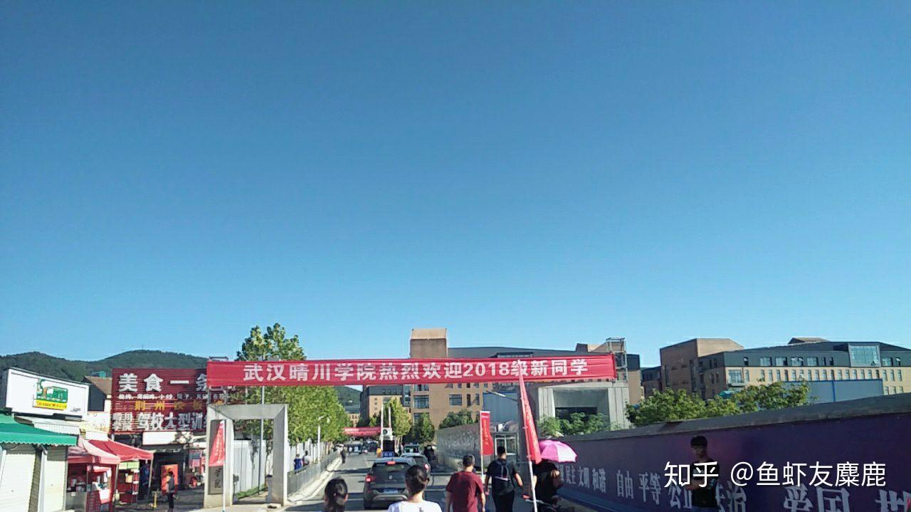 武汉大学晴川学院排名