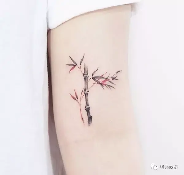 纹身素材——竹子纹身图案