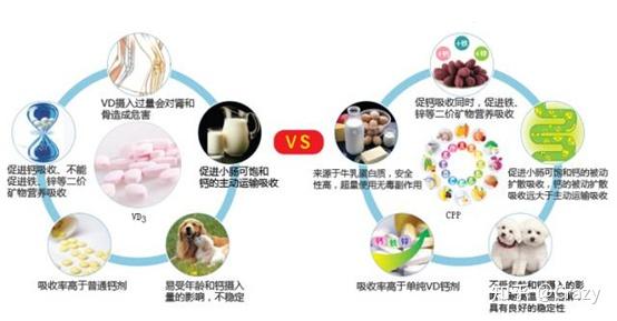 3, cpp, 可提高钙的吸收利用率,还可促进铁,锌等二价矿物营养素的吸收