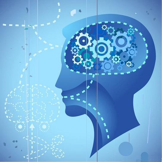 全脑开发右脑潜能开发身心放松教学法: 手脑系统训练