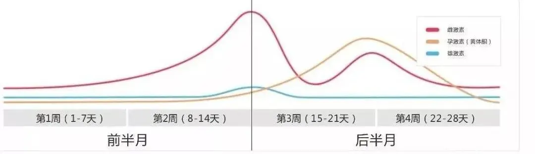 雌激素低到什么程度会影响女性怀孕