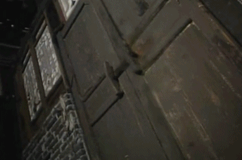 只有 小叔带着 侄子,侄女有幸逃离.