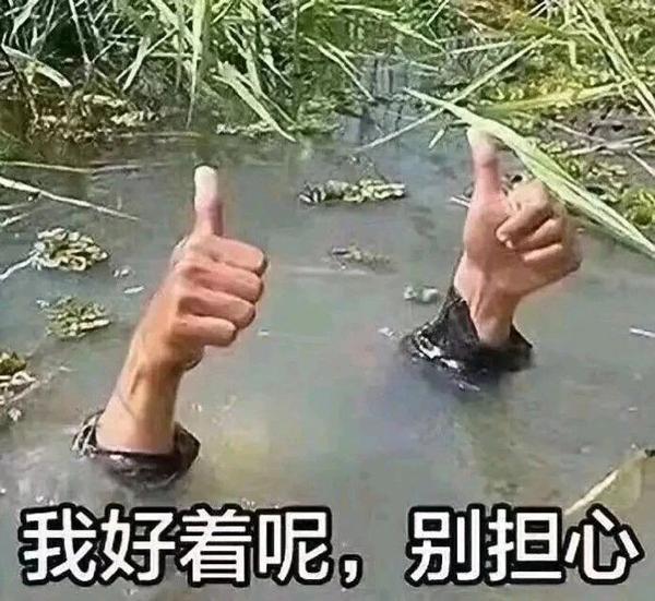 搞笑表情包图片:你好好笑哦,我好着呢,别担心