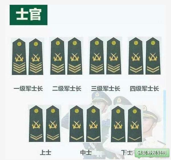 和志愿兵一样吗?士官的军衔又该怎么看呢?