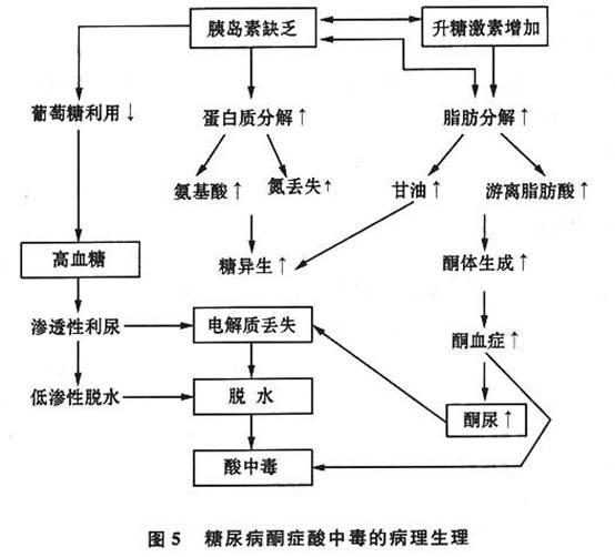 抽搐,气味恶臭,这些症状在今天看来极有可能是糖尿病所导致的酮症