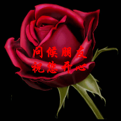 大家好 一些动态表情包 分享给大家!