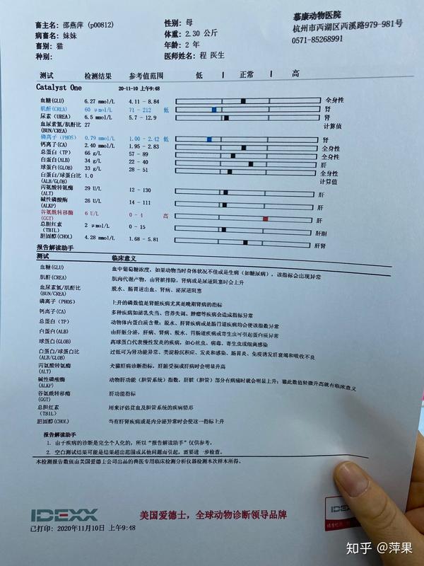 狗狗胰腺炎求助