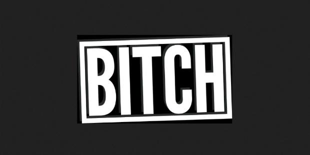 bitch是一个很强大的词别以为它只是骂人