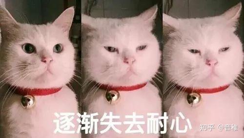 大呼小叫,一惊一乍,各种哭. 哦不,什么全程.