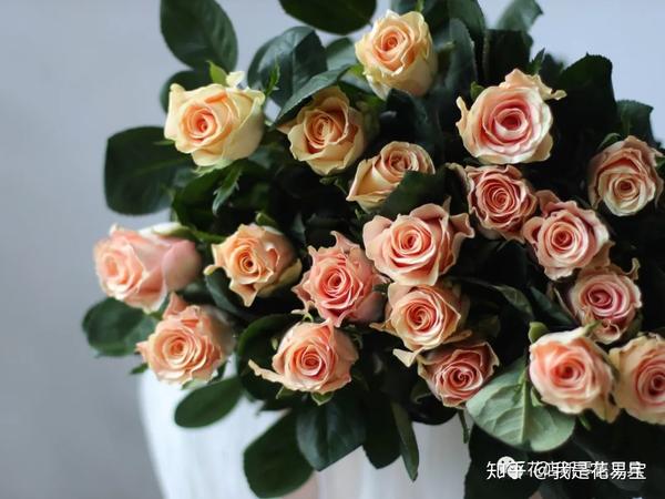 阿娇,衬裙,甜梦,凯丽,甜精灵,粉之妍等这些都是粉色系新品玫瑰,别具