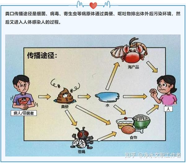 【防疫】钟南山:警惕粪口传播,净水是***途径