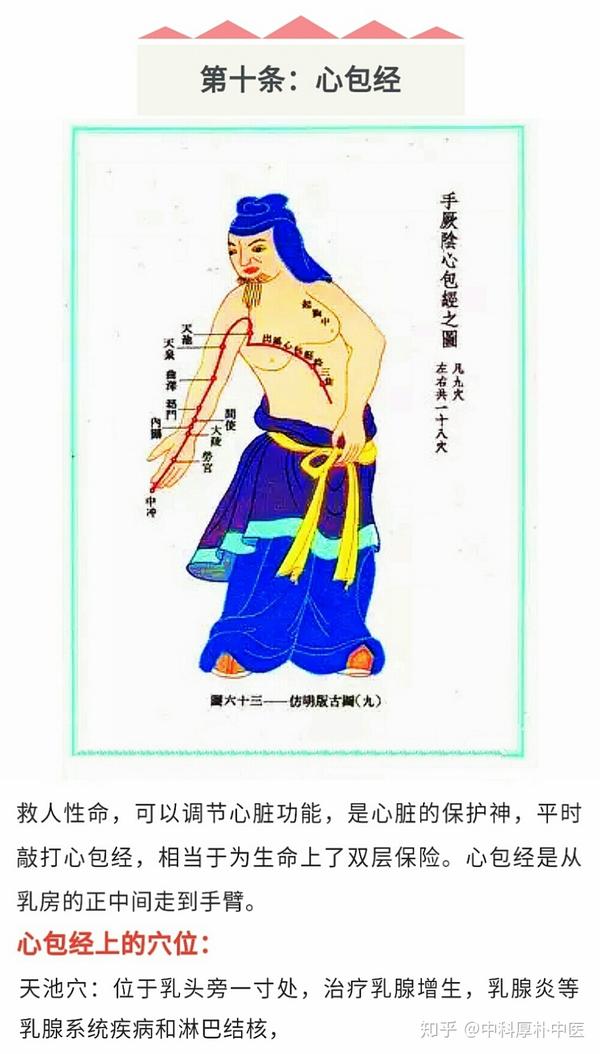 人体十四条经络(心包经),一通百通,一堵百堵!