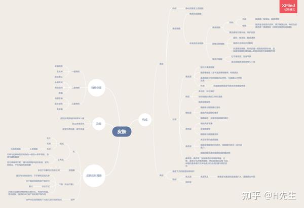 组胚思维导图 - 知乎