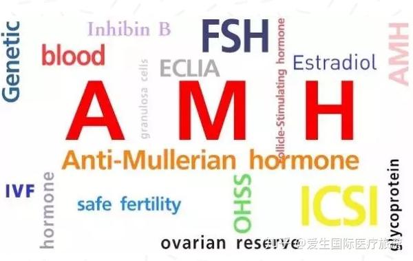 amh牌子  第1张