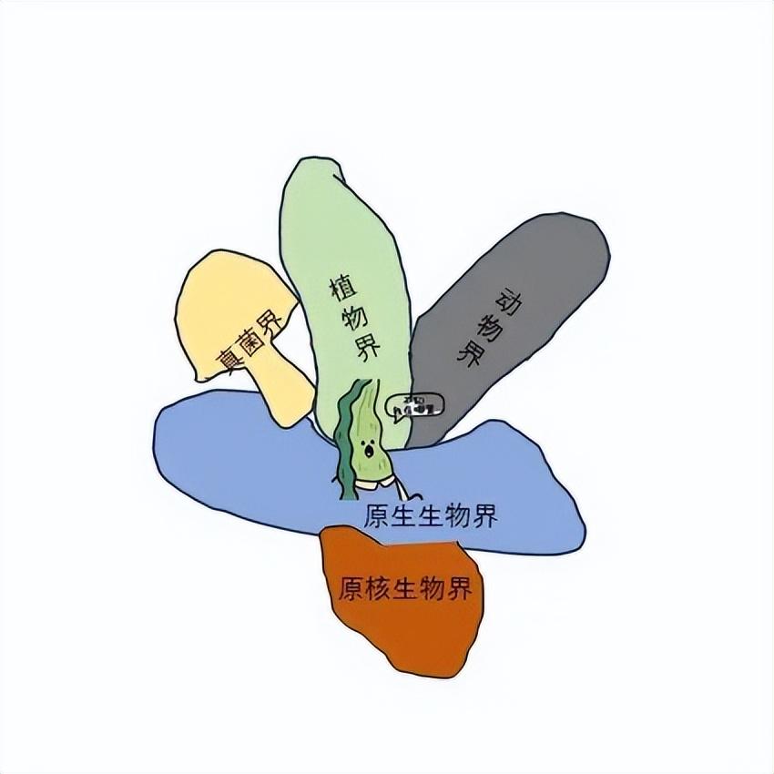 v2 d70c6320970e96f3cb26dee4e5e3c37e 1440w