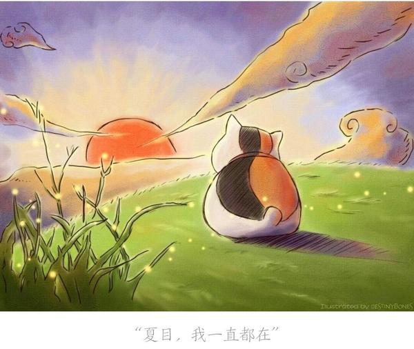 说说你的阅读感悟.(不少于.
