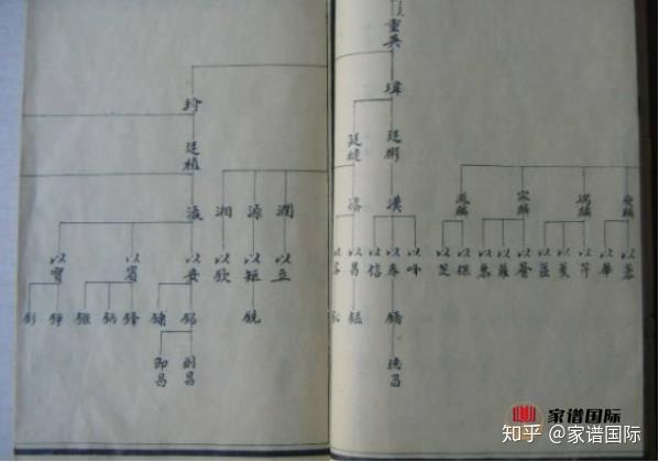 制作家谱的基本格式有哪些?