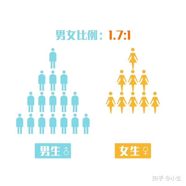 男女比例