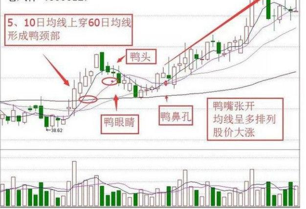 千金难买老鸭头鸭颈买鸭头减仓老鸭头k线牛股战法千金难买