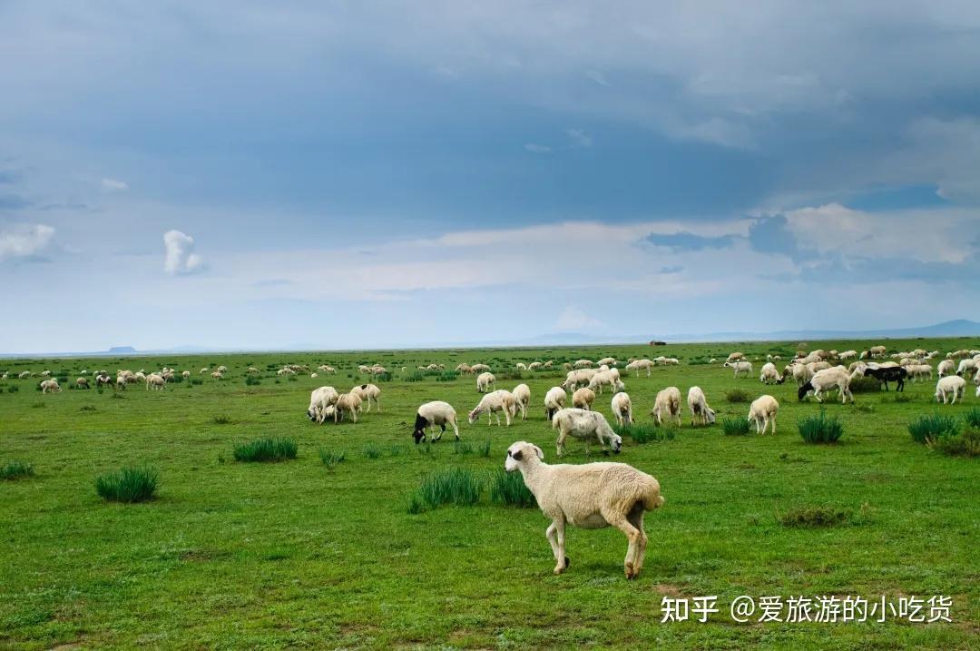 内蒙古旅游攻略——草原欢歌敖包相会,一步一画饱览内蒙风情
